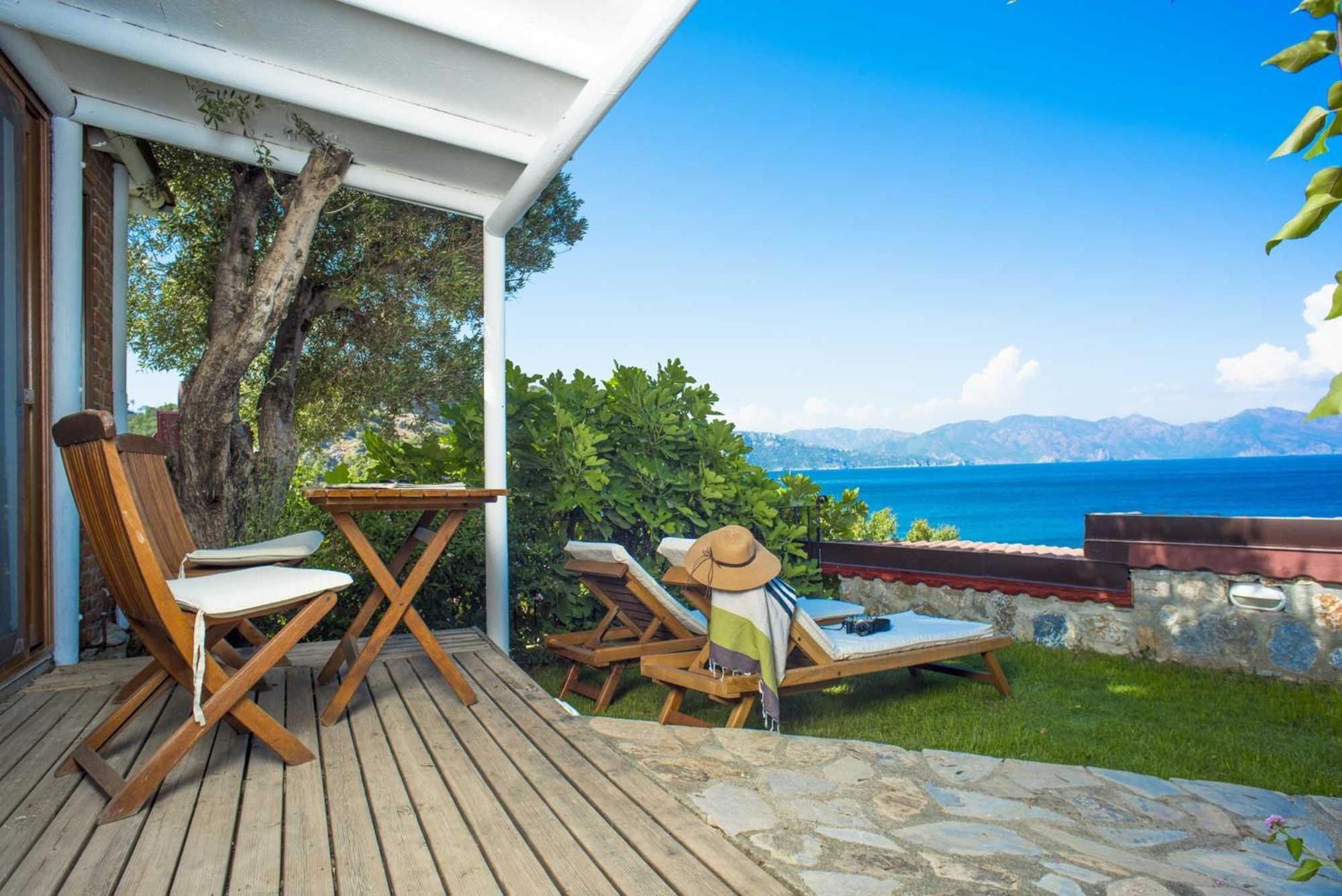 Zeytin, Florya Marmaris