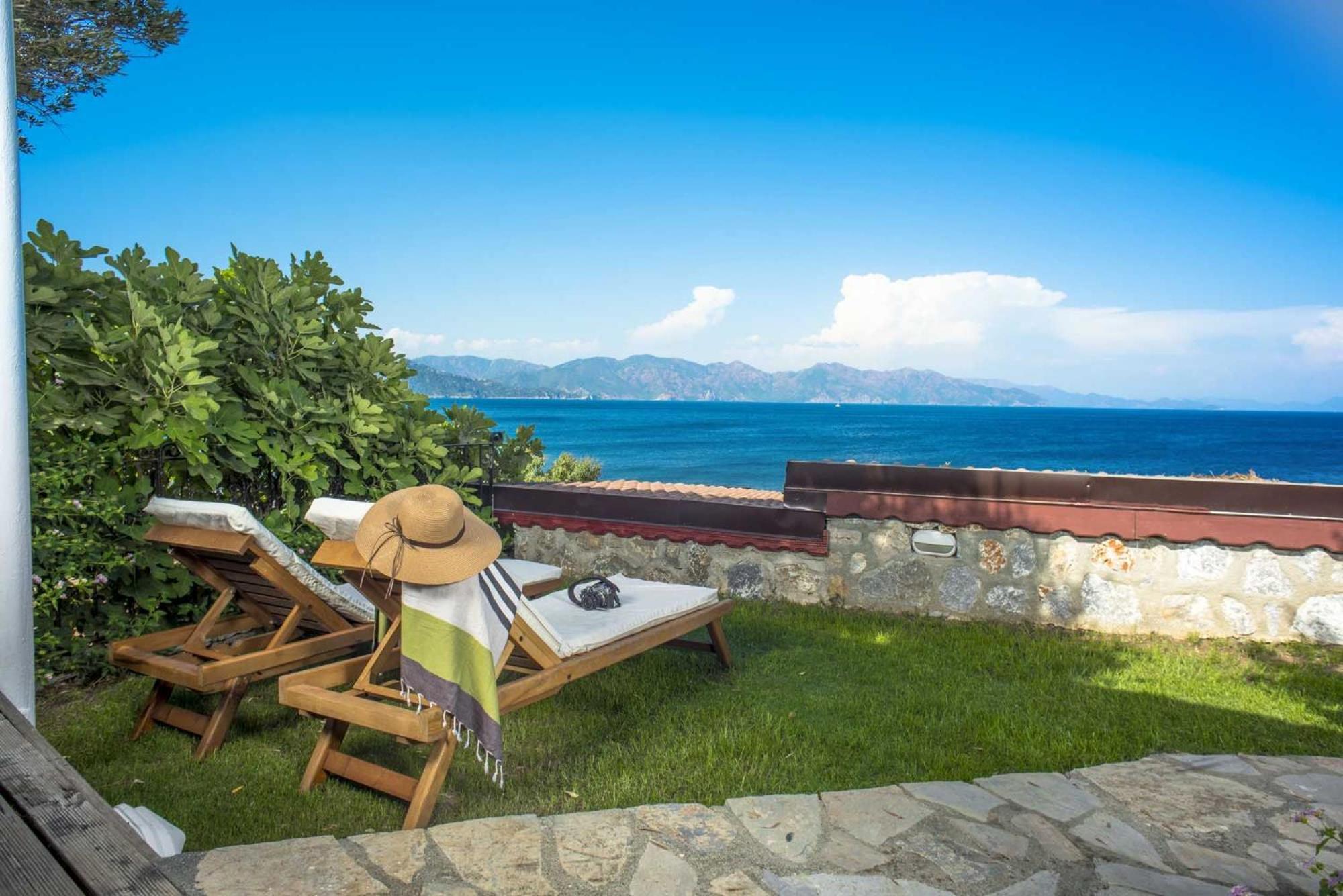 Zeytin, Florya