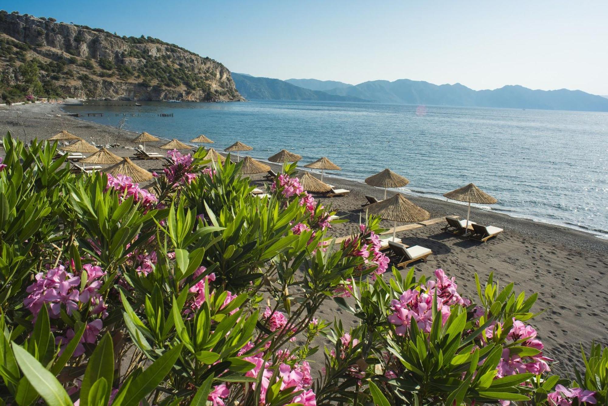 Teras 2, Florya