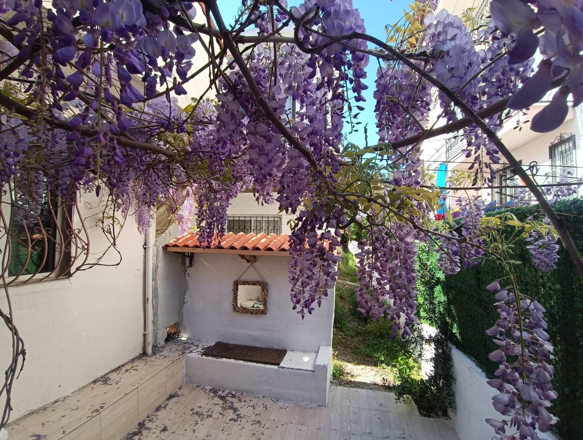 City Center By Harbour First Floor Marmaris