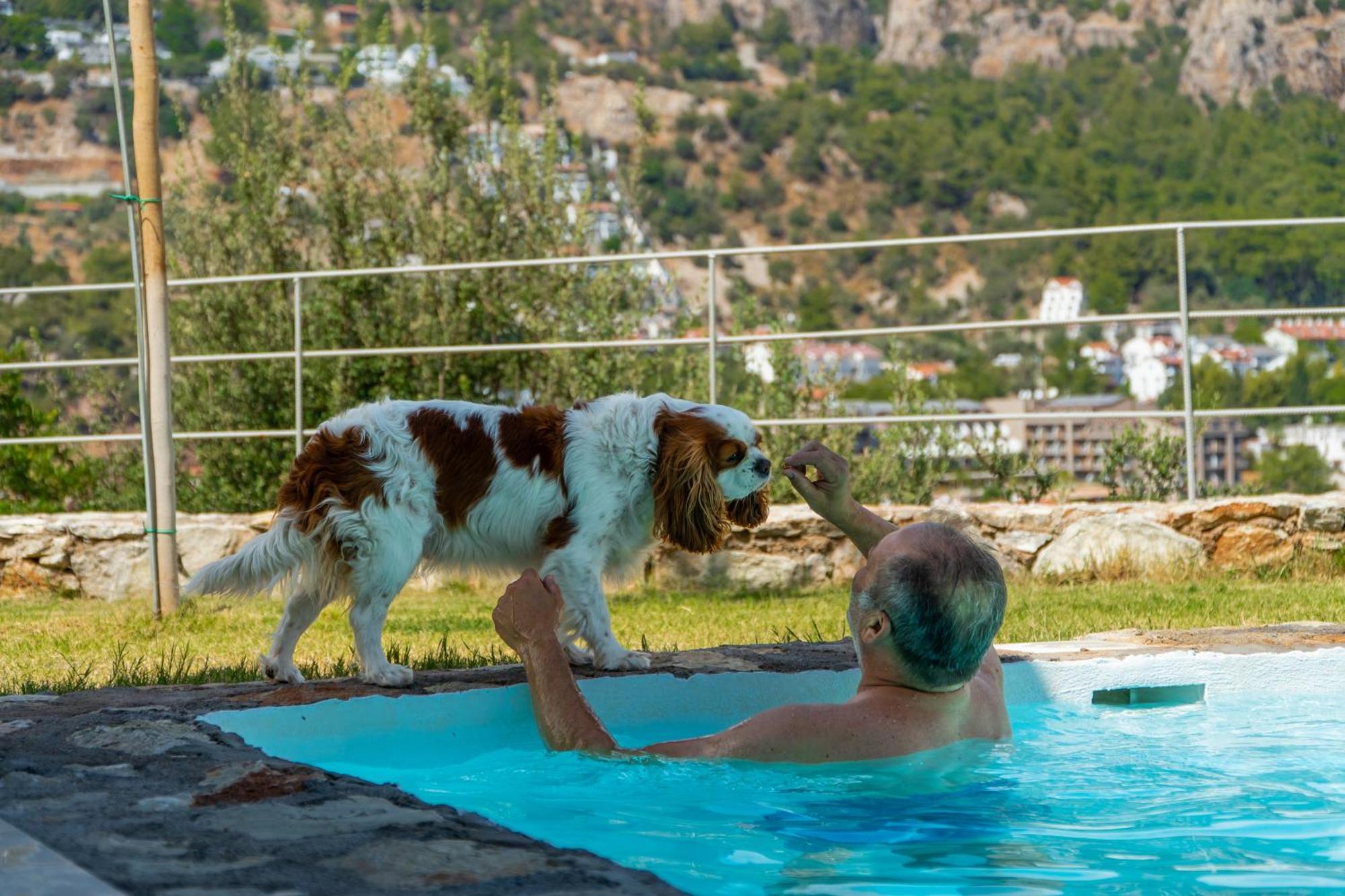 Z-villas Hotel Marmaris