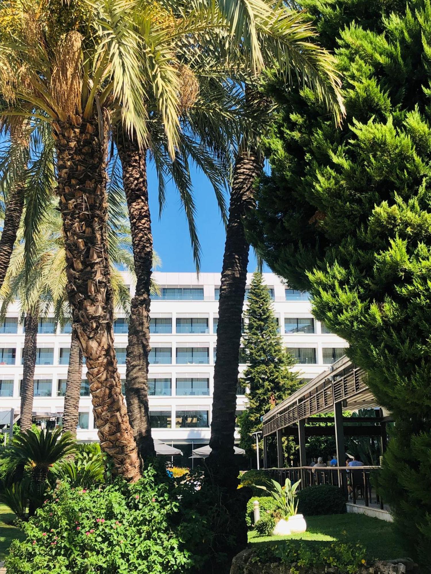 Tui Blue Grand Azur Hotel