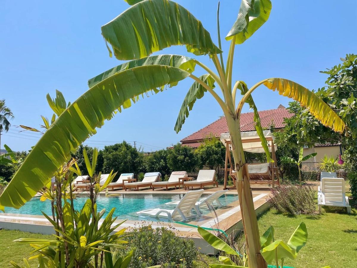 Villa Big With Pool In *