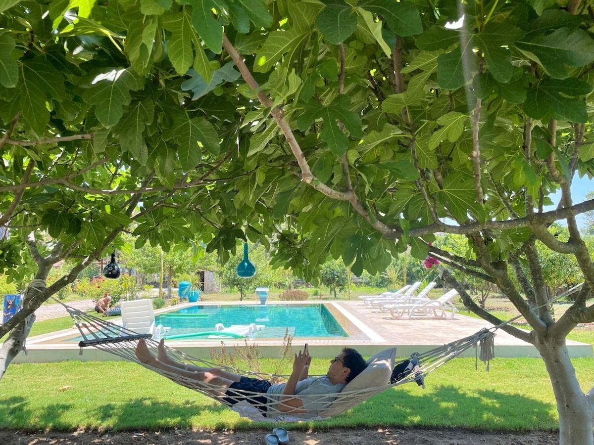 Big With Pool In
