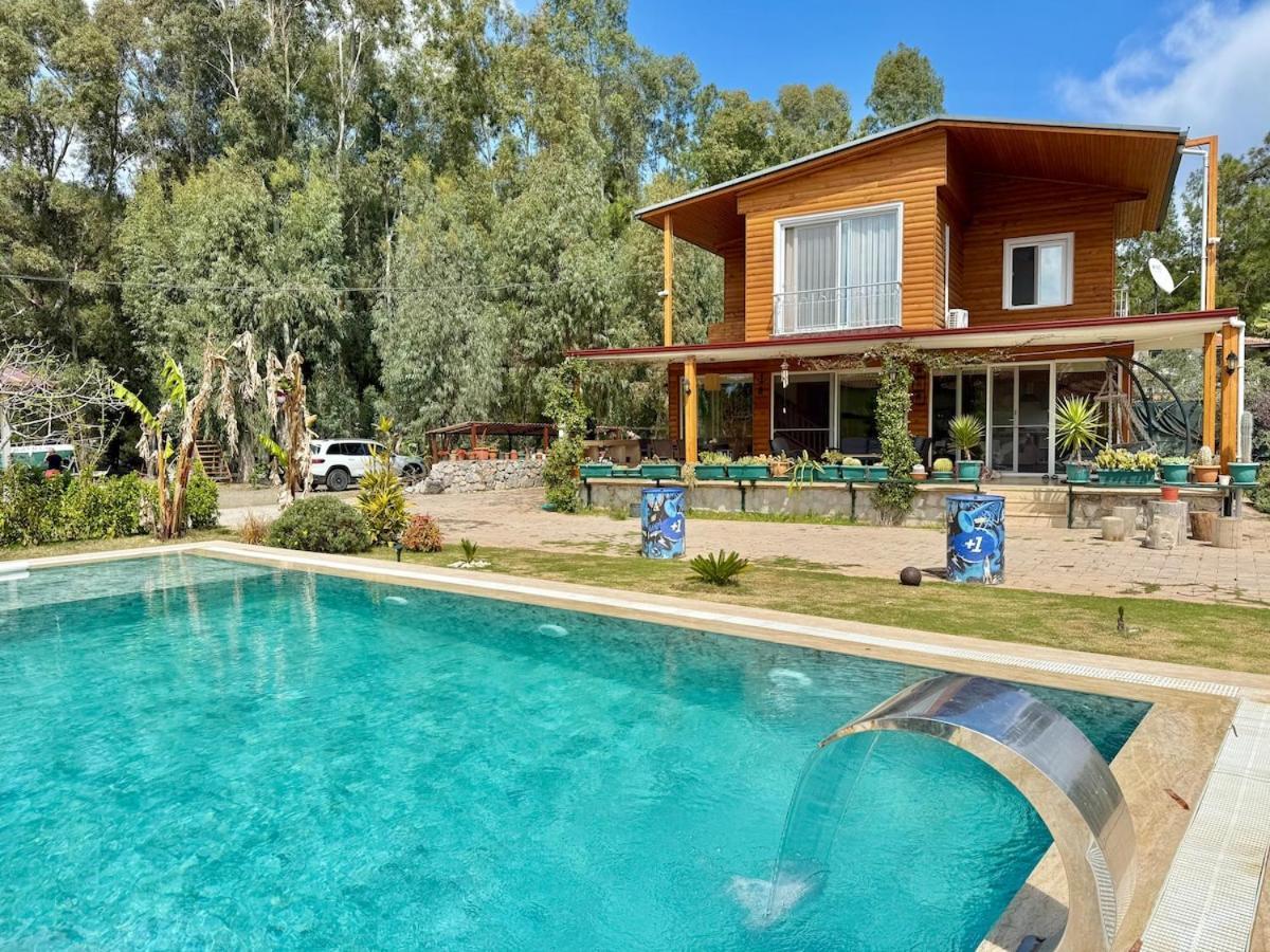 Villa Big With Pool In