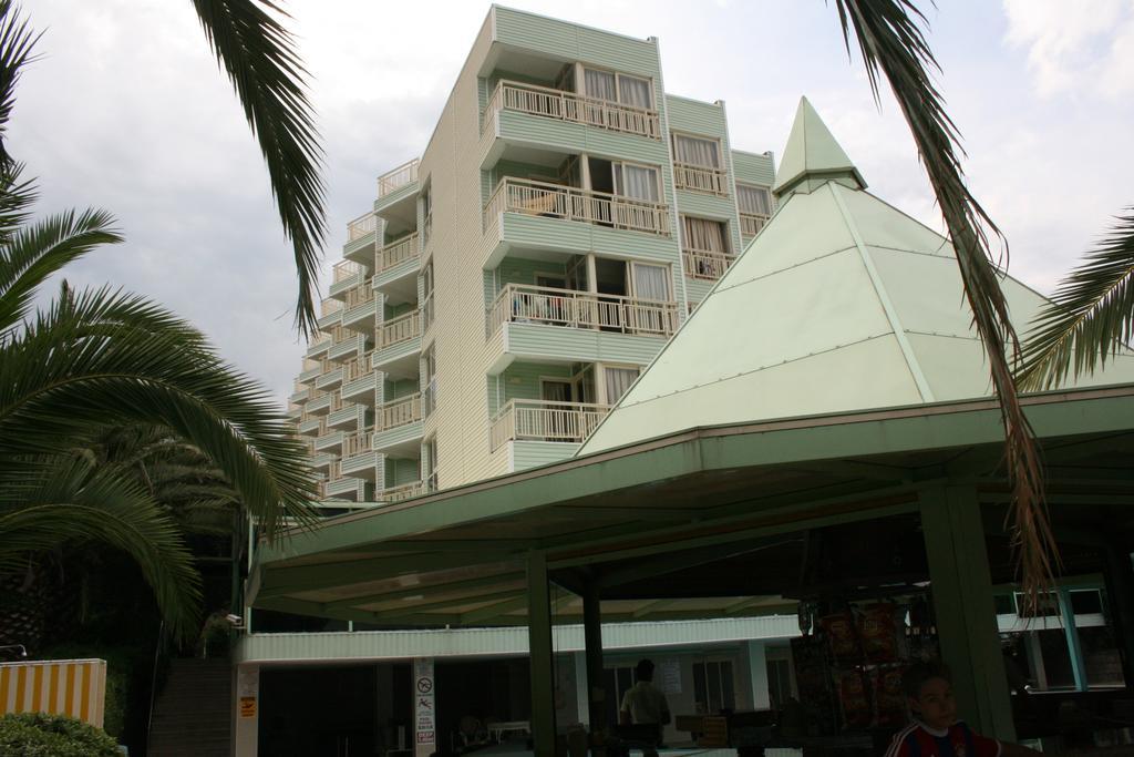 Flamingo 3*