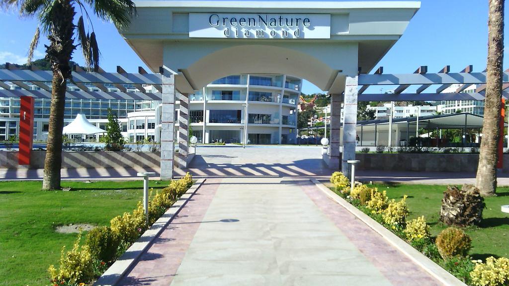 Nature Diamond