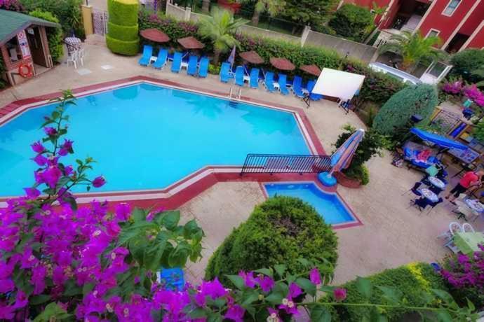 Eden Garden