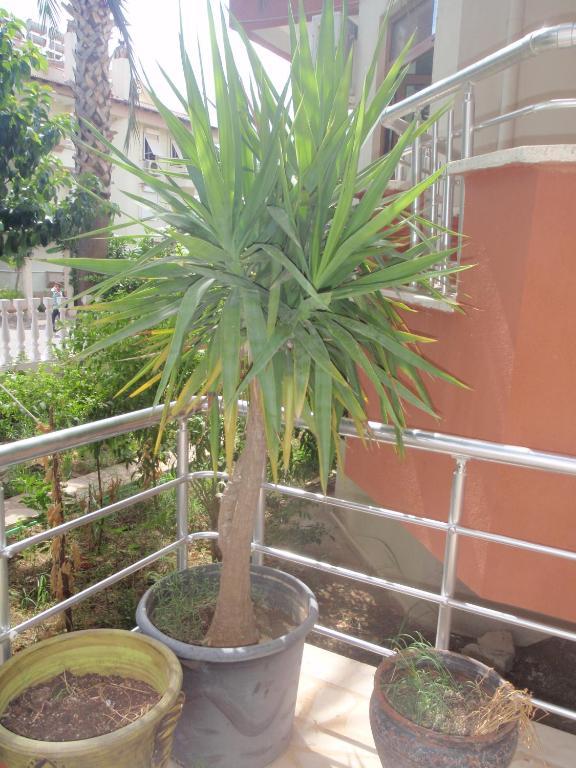 Hotel Aloe Apart