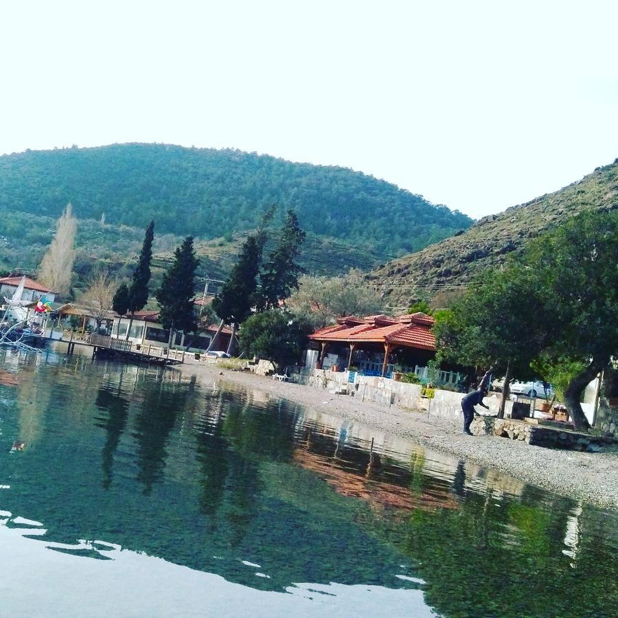 Akkum Gezer