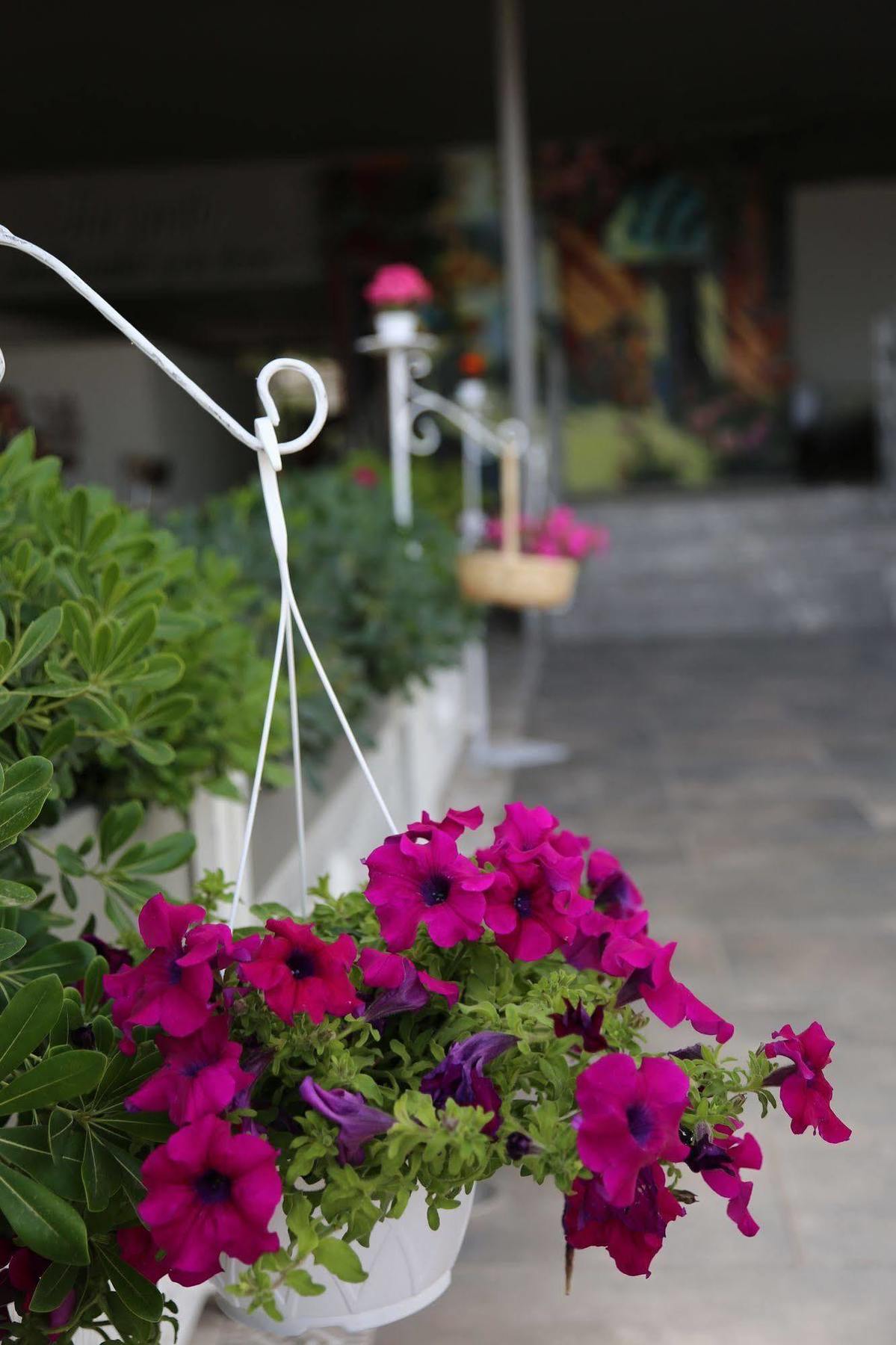 Yuzbasi Hotel Marmaris