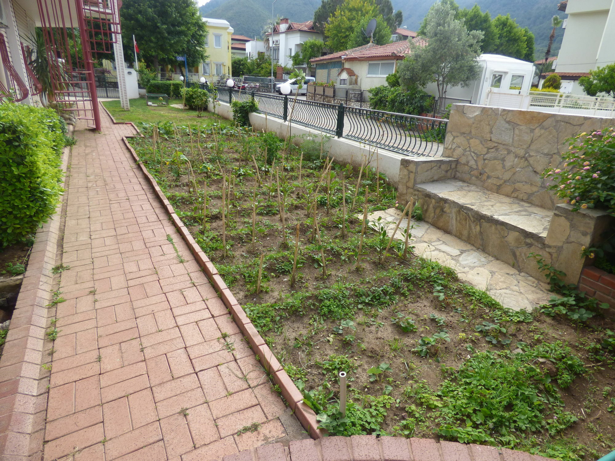 Aparthotel Avlu 4 4*