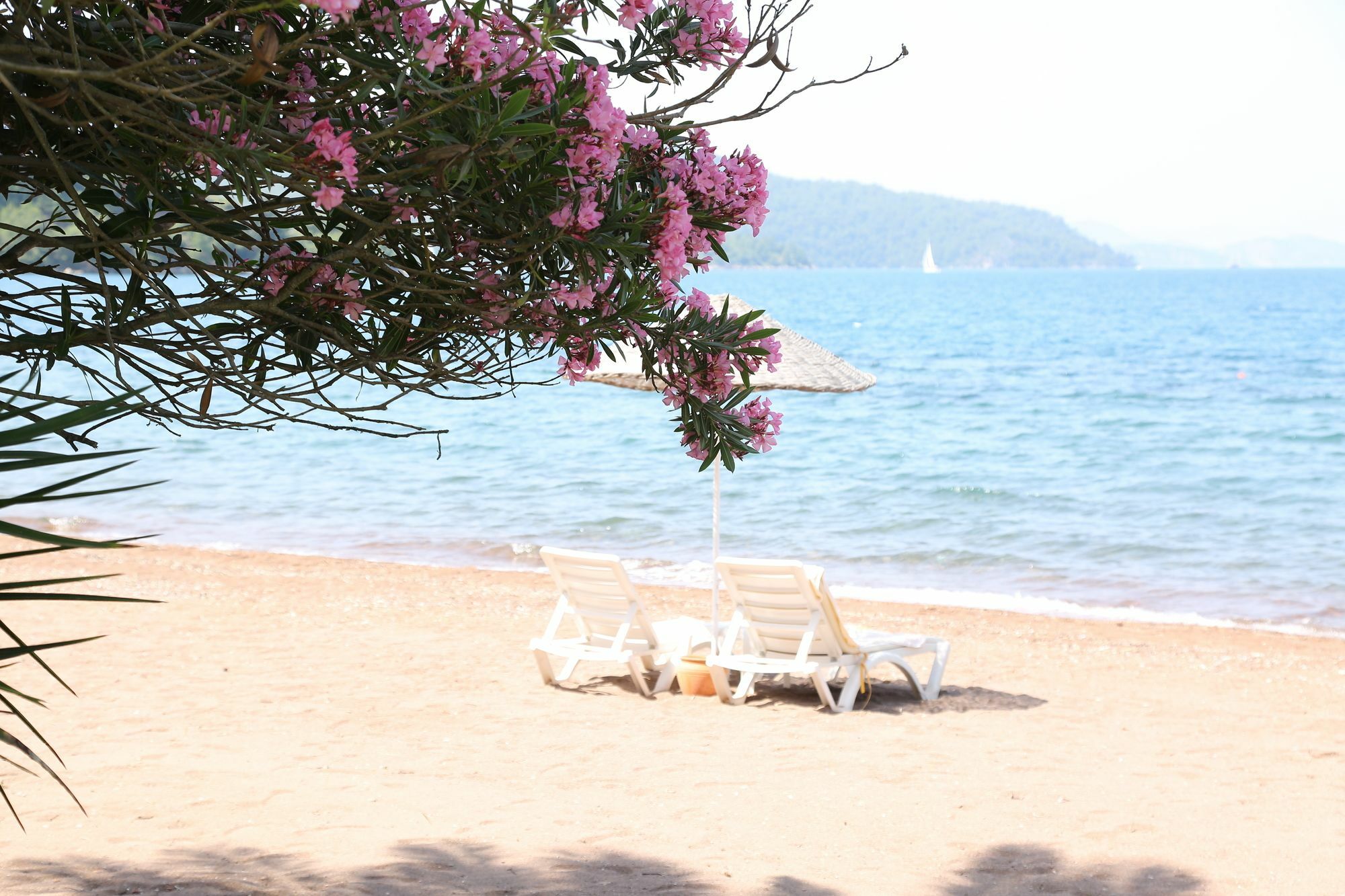 Hotel Golden Key Hisaronu Marmaris