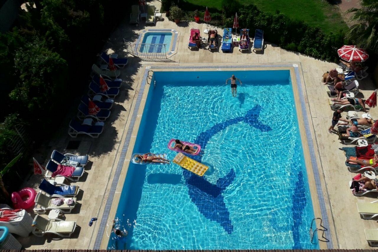 Apartment Albatros *