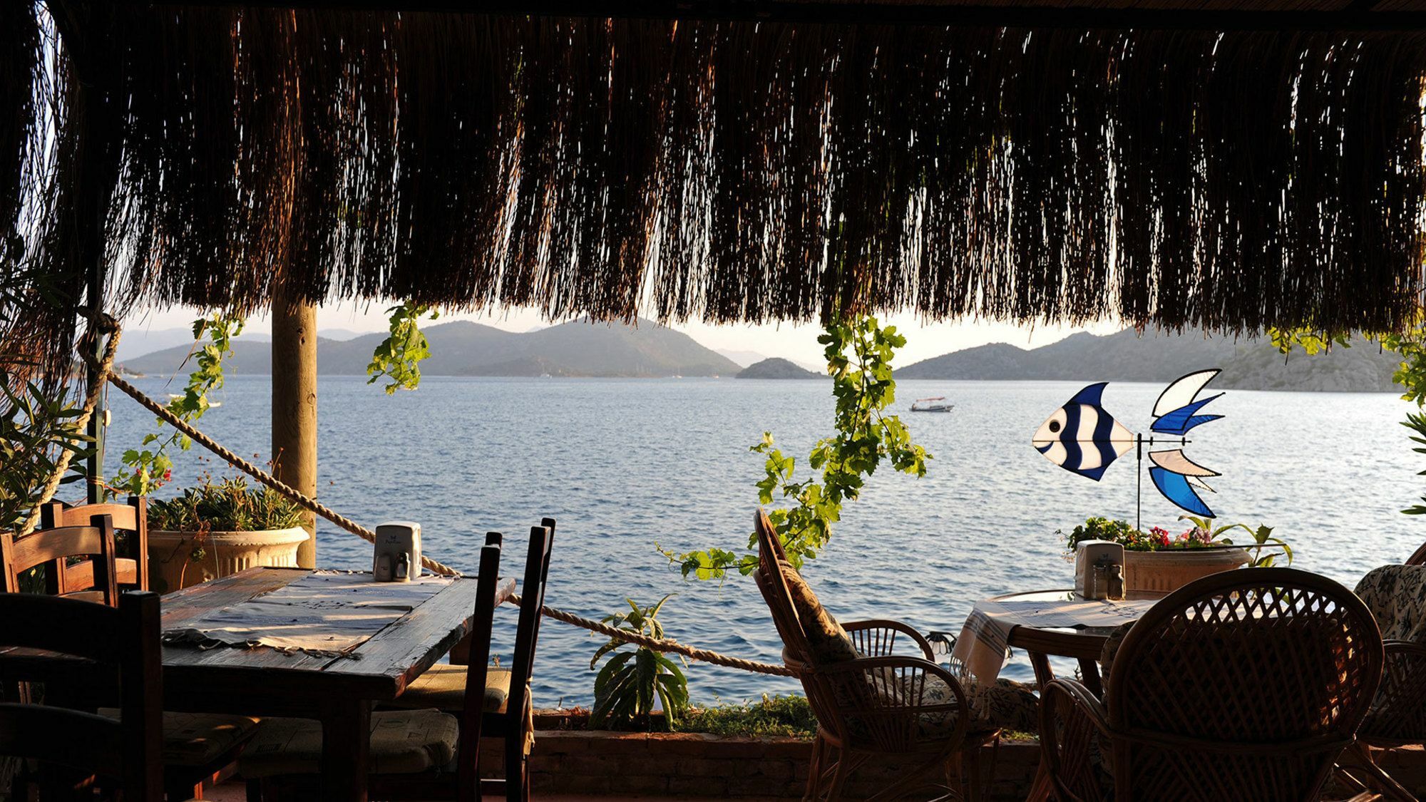 Dolphin Boutique Hotel 4*