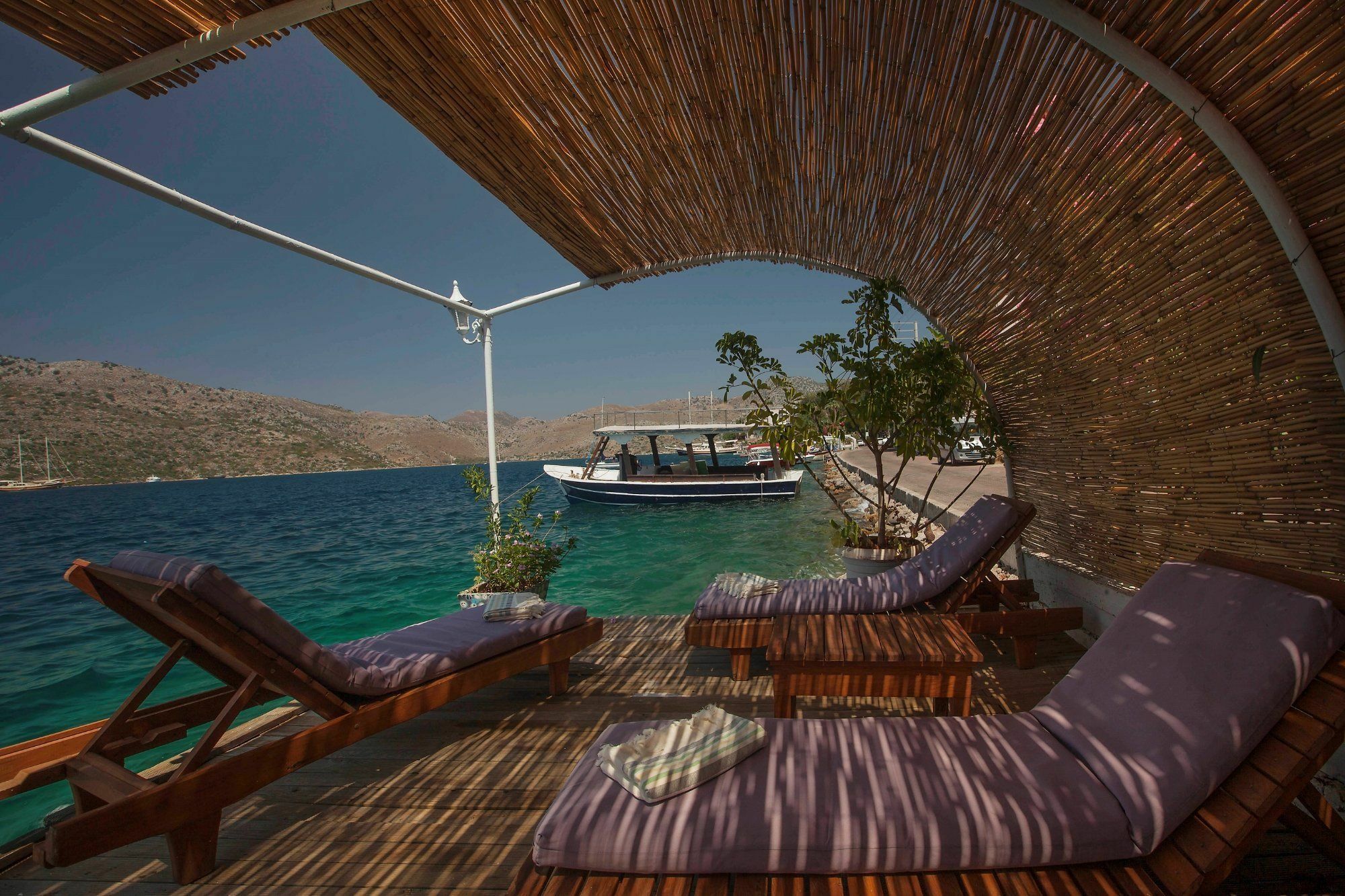 Hotel Dolphin Boutique 4*