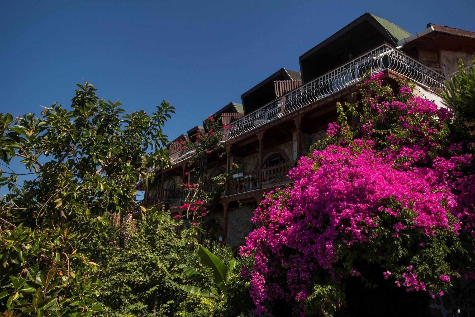 Dolphin Boutique 4* Marmaris
