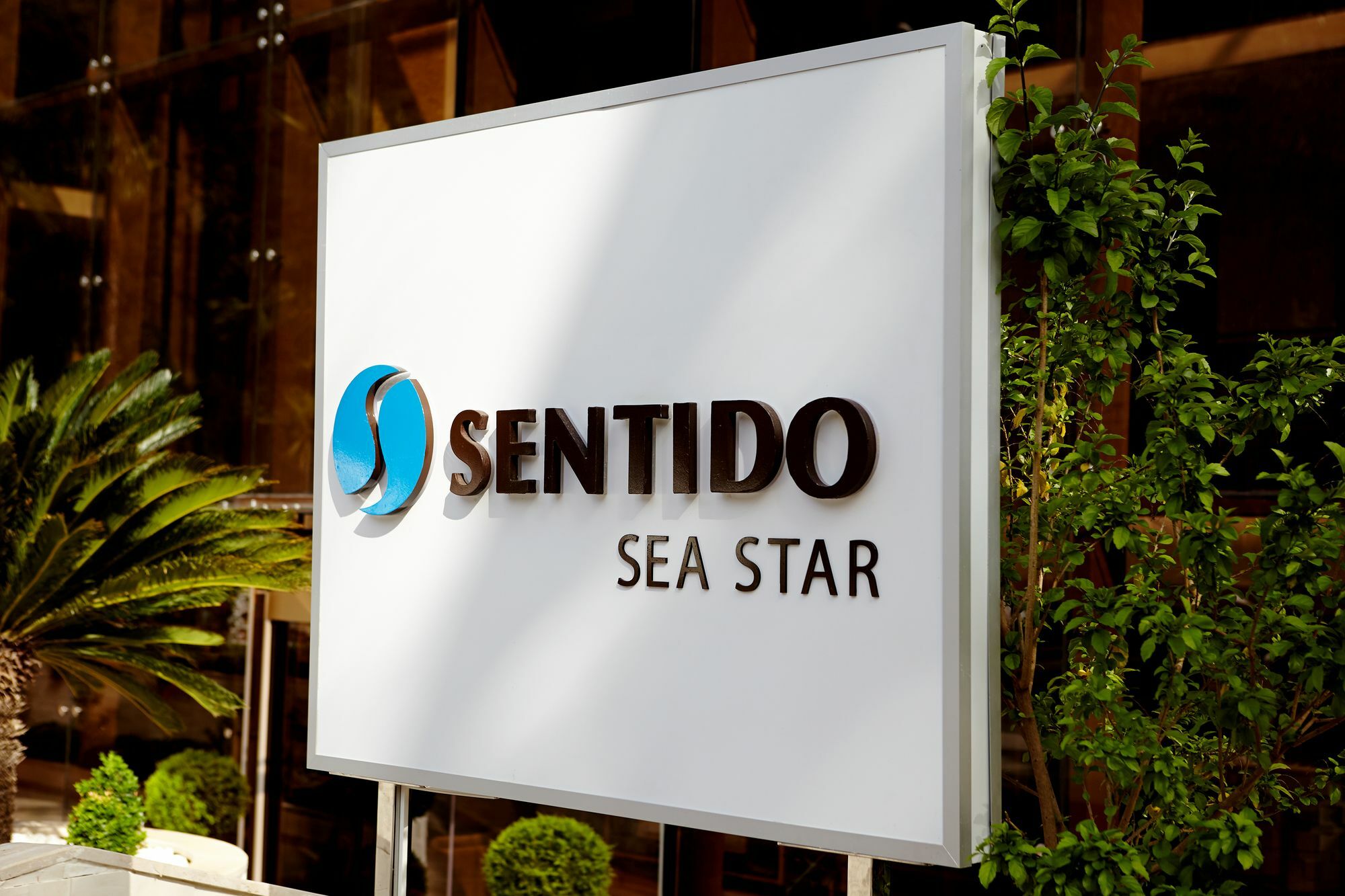 Sea Star - Adult Only 4*