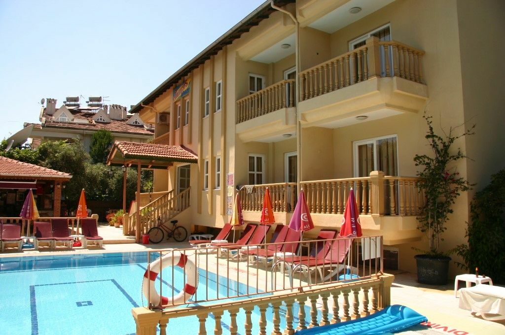 Hibiscus 3*