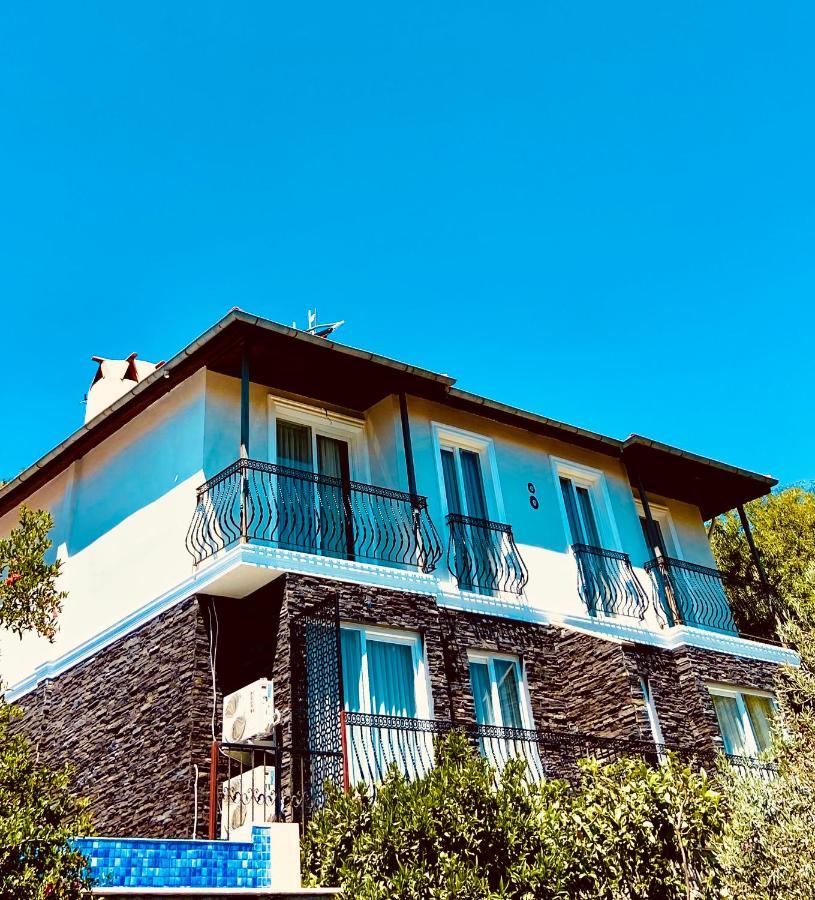Defne Selimiye *