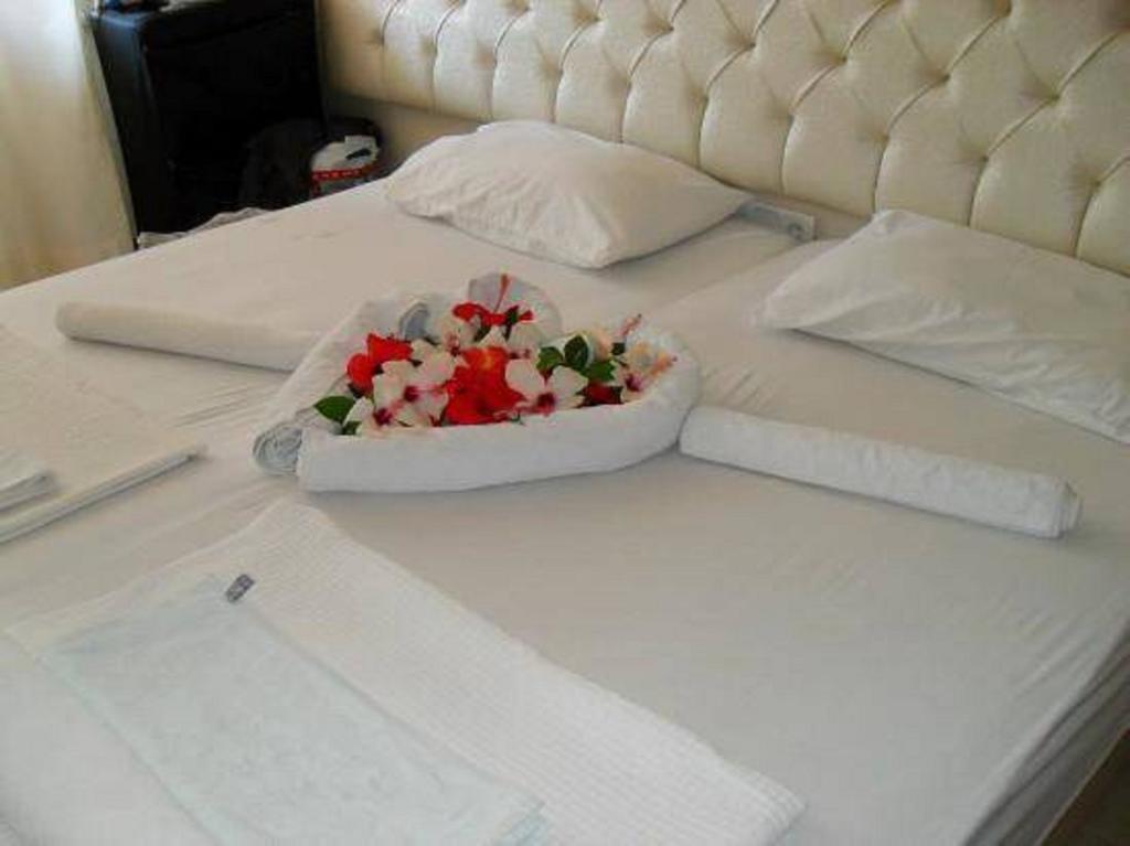 Samoy Oda ve Kahvaltı