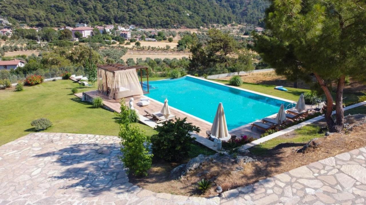 Greenery With Shared Pool In