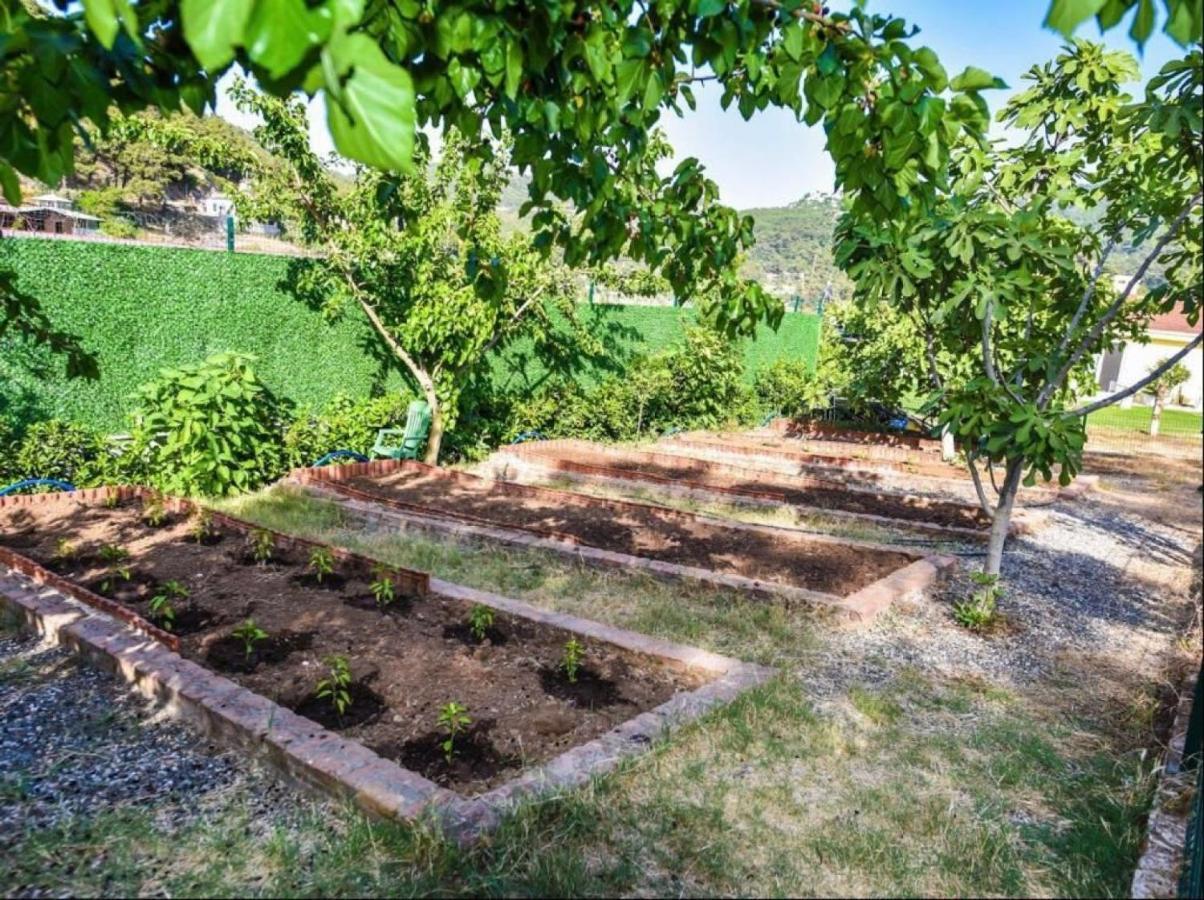 Greenery With Shared Pool In