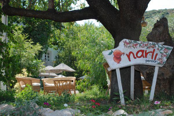 Bed & Breakfast Narli *