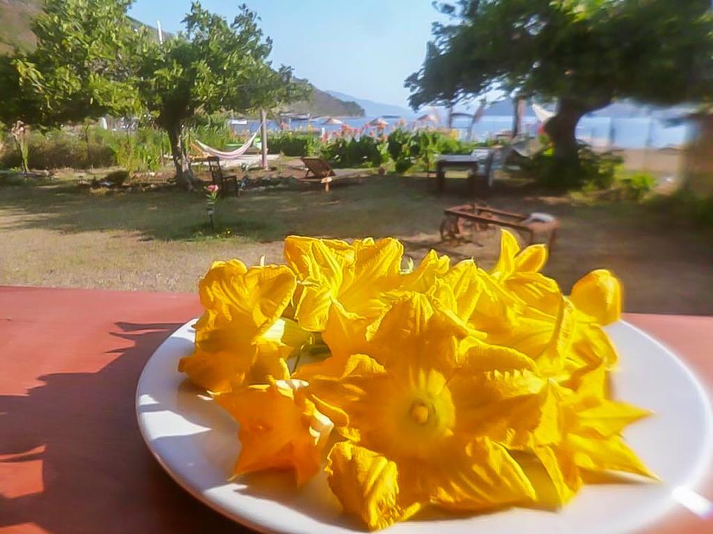 Kocabahce Glamping Campsite Marmaris