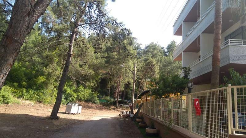 Tayfun Marmaris
