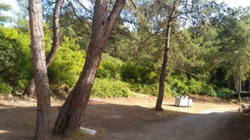 Tayfun * Marmaris